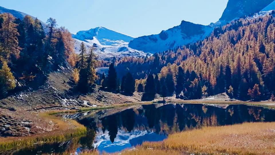 Les Granges D'arvieux Vue Sur Le Queyras Apartamento Arvieux